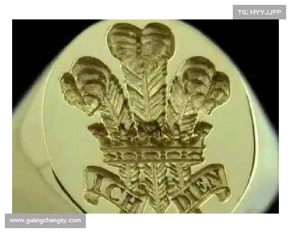 揭秘皇家贵族戒指的五大象征意义与历史传承 揭秘皇家贵族戒指的五大象征意义与历史传承