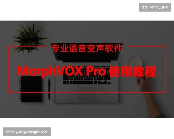 提升MorphVox Pro语音变换效果的实用技巧与优化方法 提升MorphVox Pro语音变换效果的实用技巧与优化方法