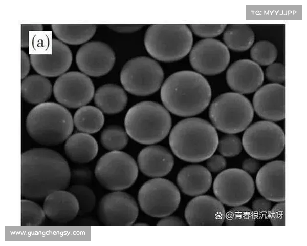 生活中那些看似微小却可能导致严重后果的致命错误表现分析