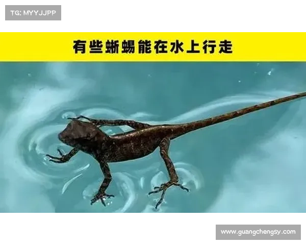 关于英国足总你可能不知道的十个令人惊讶的趣味冷知识 关于英国足总你可能不知道的十个令人惊讶的趣味冷知识