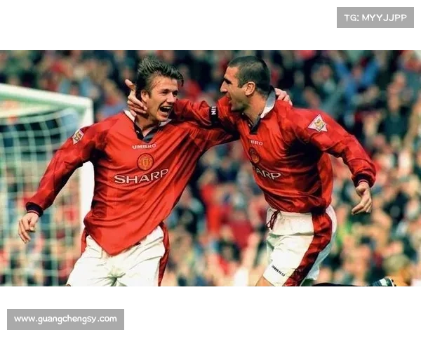 巴舒亚伊使用语言分析及其对足球生涯的影响探讨