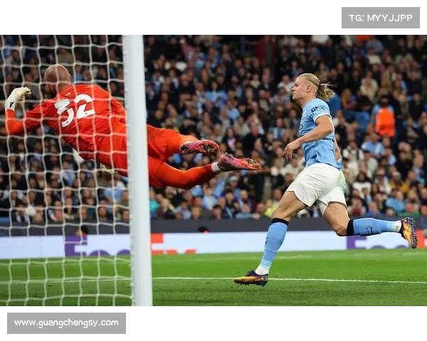 从欧冠到意甲的全景透视：欧洲顶级足球联赛体系全方位的深度比较