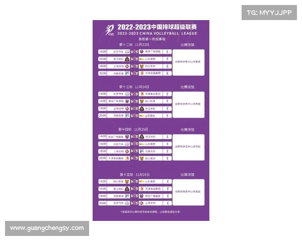 全面解析法甲联赛决赛时间安排及关键观赛注意事项实用指南全攻略