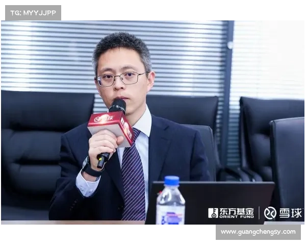 如何制定最有效的欧洲杯投资策略助你获利最大化