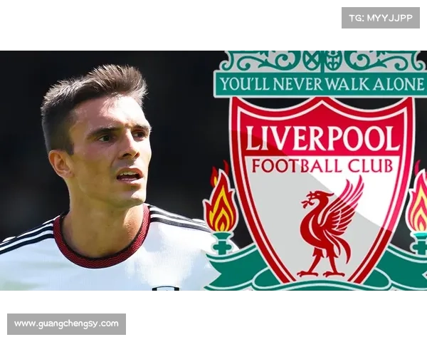 拜仁冬窗转会聚焦:帕利尼亚双向奔赴背后的战略考量与意义