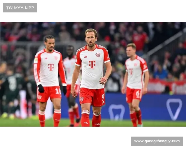 拜仁足球俱乐部与戴尔公司合作共赢模式及其对体育产业的影响分析