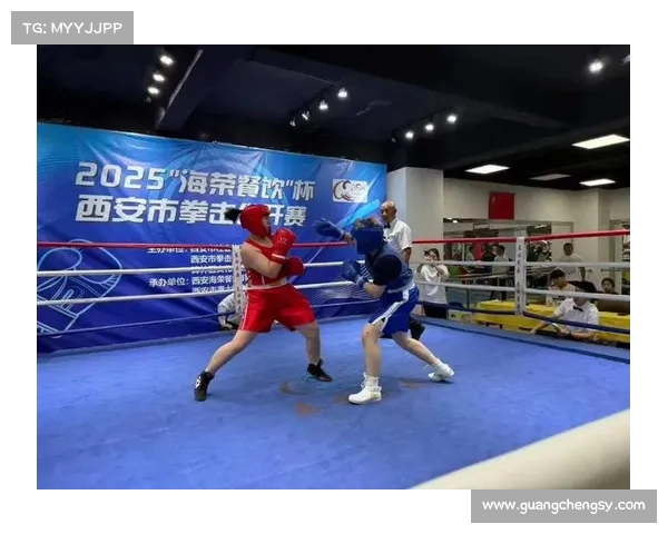 拳击比赛深度解析精彩赛事亮点与赛制规则全面解读